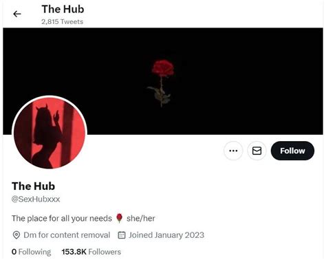 nsfw twitter|7 Best NSFW Twitter Accounts Like Hub To Follow Now.